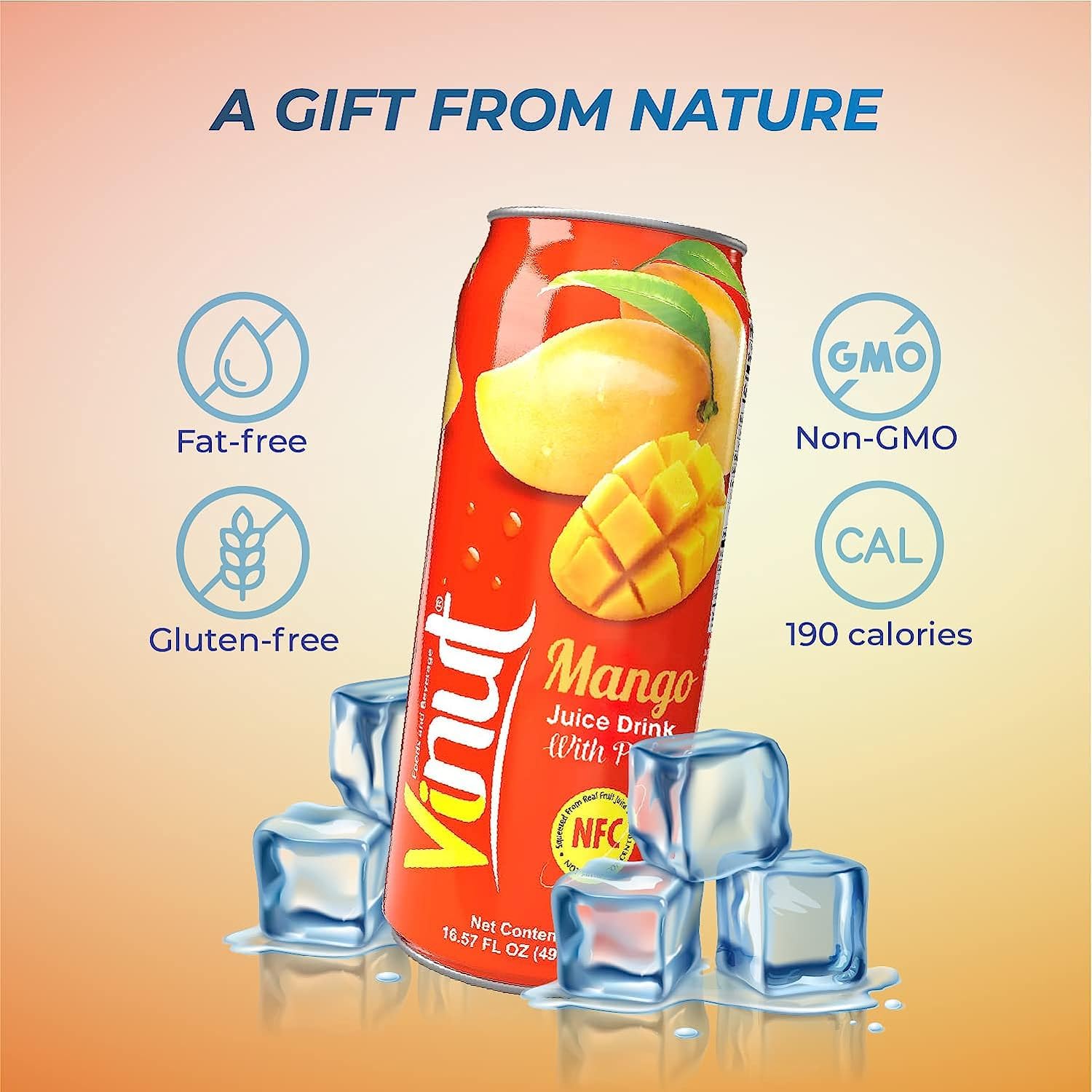 Vinut Aloe Vera Mango 490ml