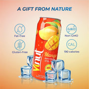 Vinut Aloe Vera Mango 490ml